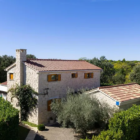 Paula ウグリャン